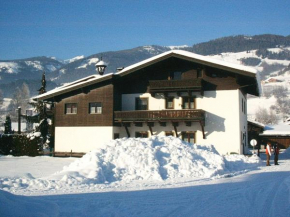 Spacious Apartment near Ski Area